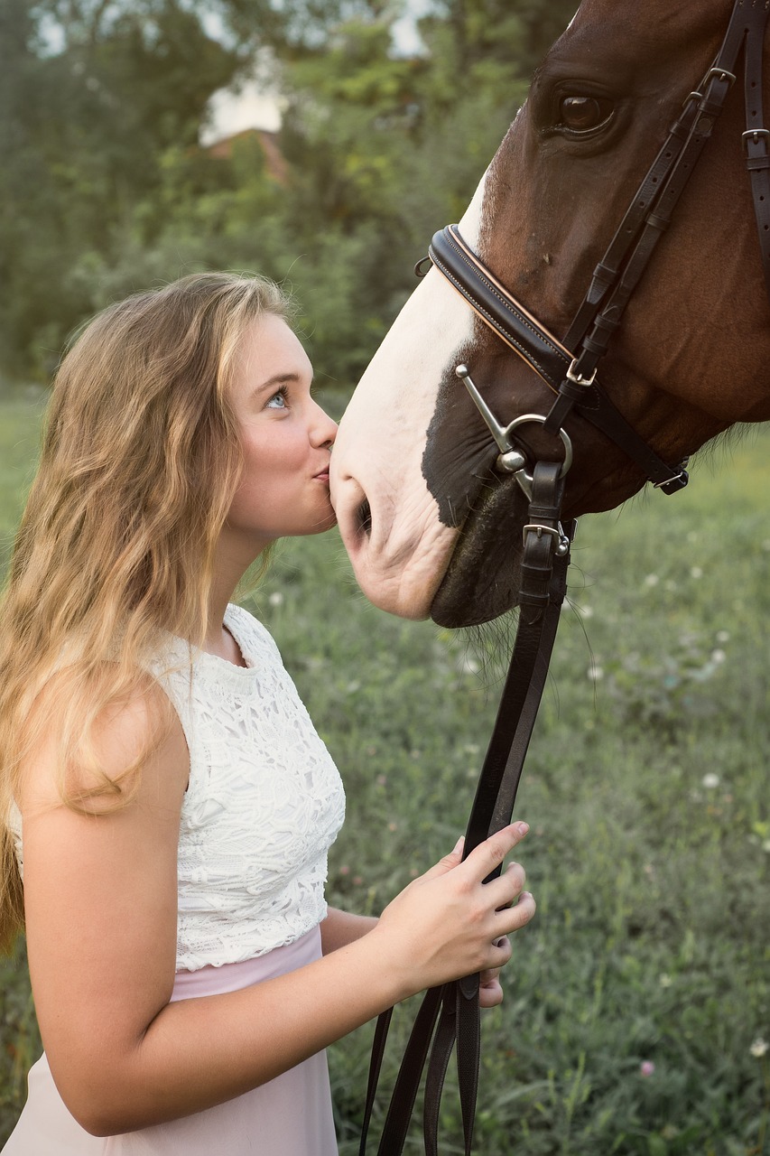 Horse_5